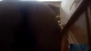 Sedutora video caseiro brasileiro sexo morena bate sua buceta apertada não utilizada com vibrador