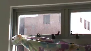 Deliciosa jovem morena está recebendo sua vídeo pornô caseiro de novinhas buceta lambida antes do boquete