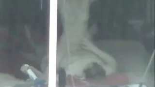 Docinho asiático petite teve 3 alguns com seus xvídeos caseiro brasileiro amigos febris no quarto